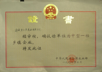 被農業部評為中型一檔鄉鎮企業